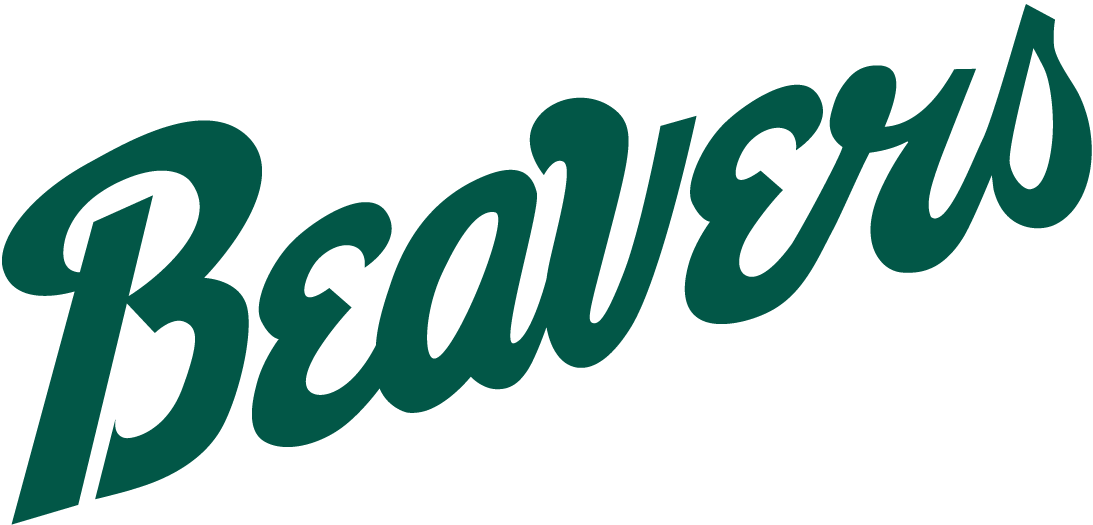 Bemidji State Beavers 2004-Pres Wordmark Logo diy fabric transfer